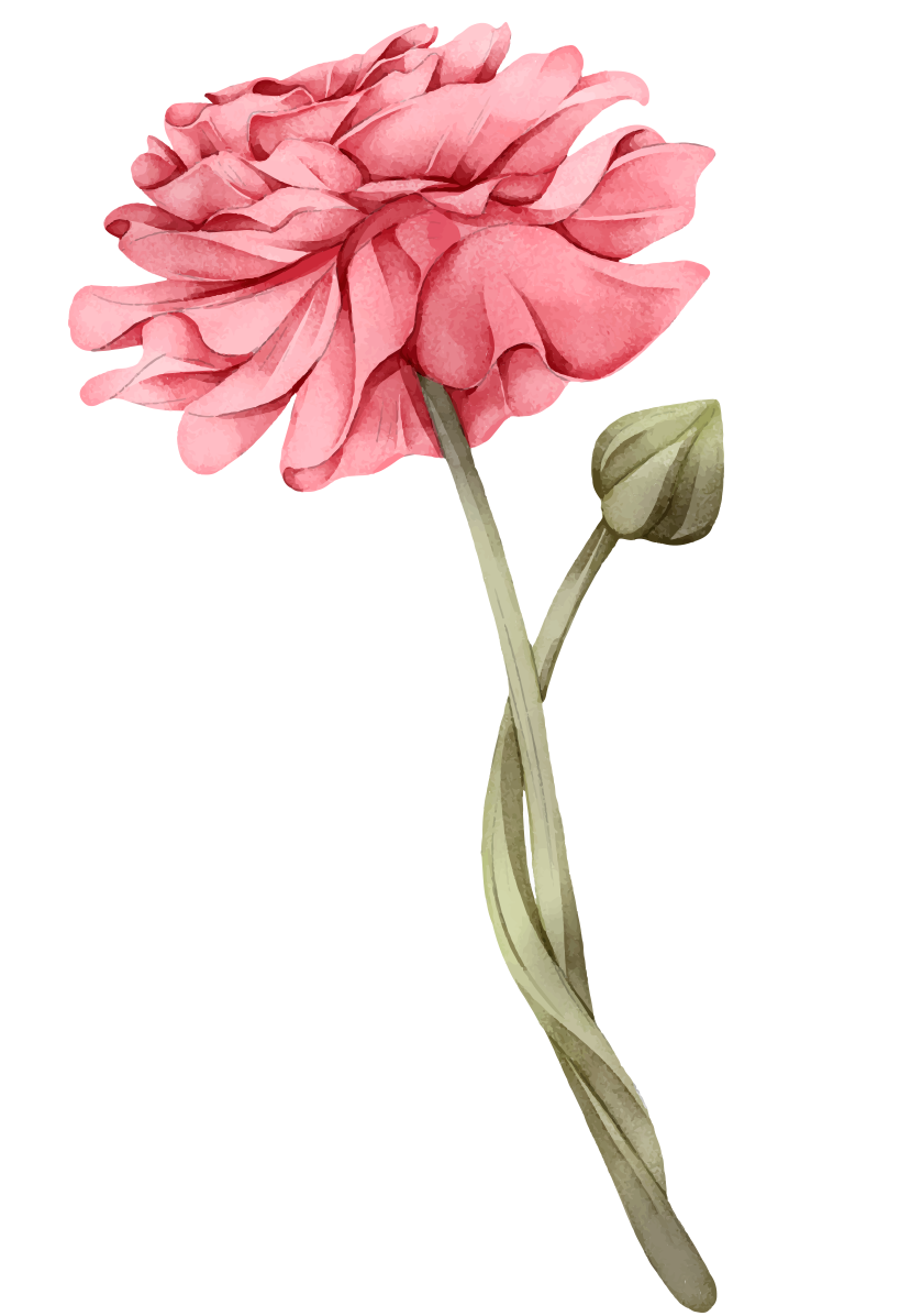 flor.png